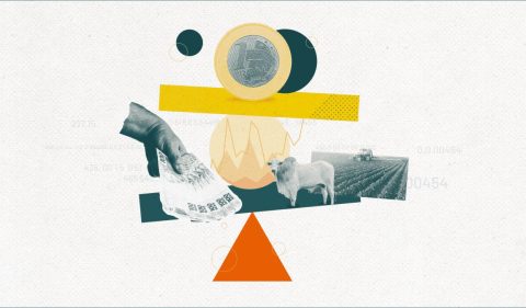 Saiba como diversificar investimentos usando renda fixa - Ilustração: Marcelo Andreguetti