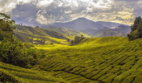 (Foto: Paul Vincent/Unsplash)