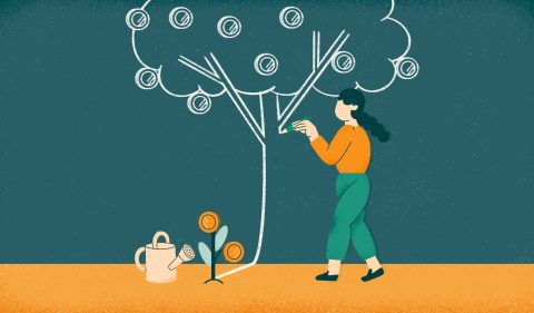 - Ilustração: Renata Miwa