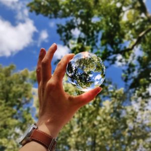 Análise: Cúpula do G7 deixa ações climáticas em segundo plano