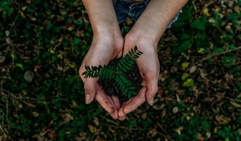 (Foto: Noah Buscher/Unsplash)