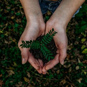 Análise: Contribuição da soft regulation para a sustentabilidade ambiental