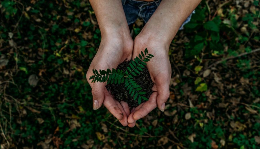 Análise: Contribuição da soft regulation para a sustentabilidade ambiental