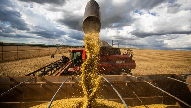 produção de soja, agronegócio, produção agrícola, commodities, brasil