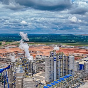 Crédito privado: o que saber antes de investir em empresas de papel e celulose