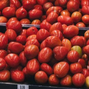 tomates vermelhos