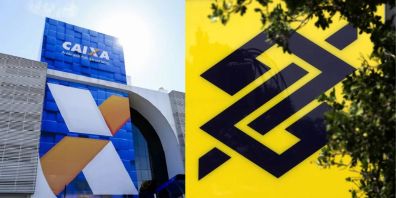 Dividendos de BBSE3 ou CXSE3? Depois do 1º tri, analistas escolhem queridinha